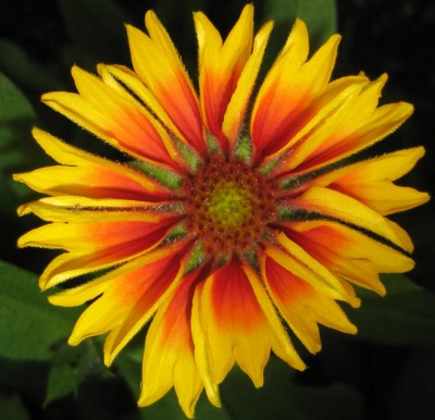 Bild green24 094.jpg