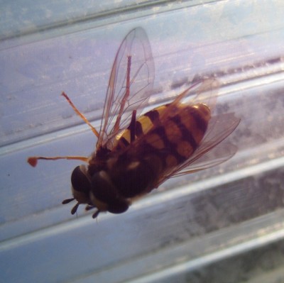 Bild green24 092.jpg