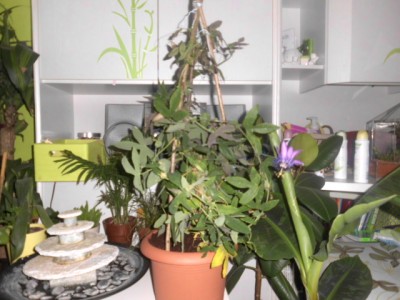 4.7. Ausflug 091.JPG