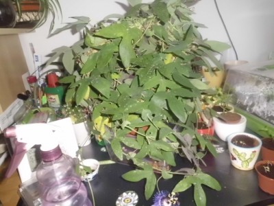 4.7. Ausflug 088.JPG