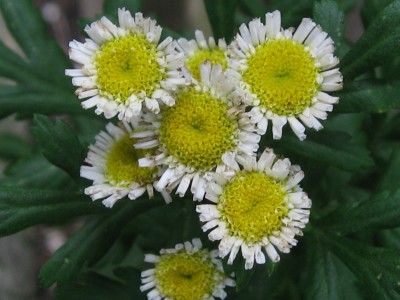 IMG_1805.JPG