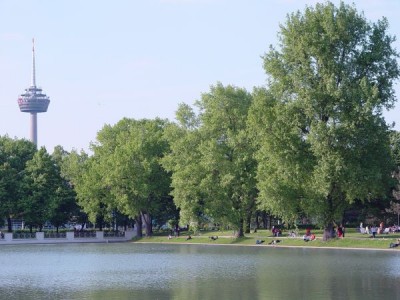 2479-stadtklima.jpg