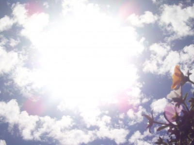 schööööön 446.jpg