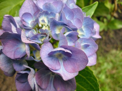 DSCF0184.JPG