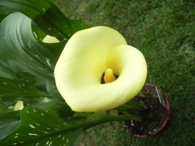 RIMG0049.JPG