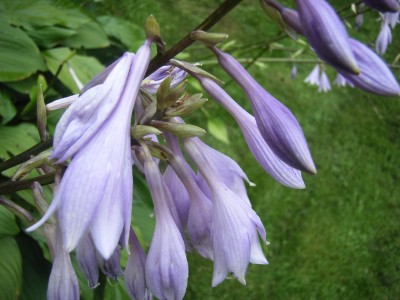 RIMG0050.JPG