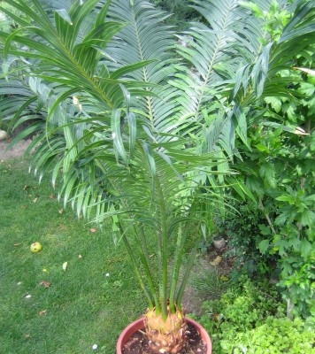 Bild green24 114.jpg