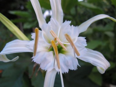 08.07.11 053.JPG