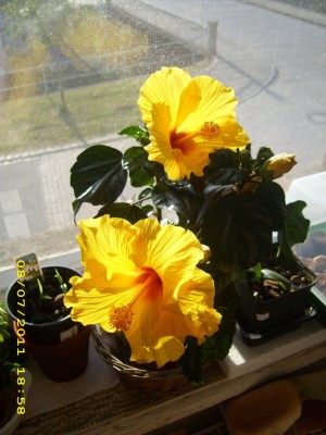 2cf7fe08.xl.jpg