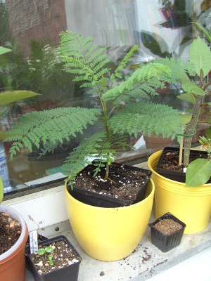 BILD0039.JPG