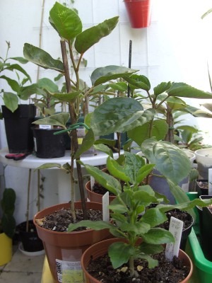 BILD0040.JPG