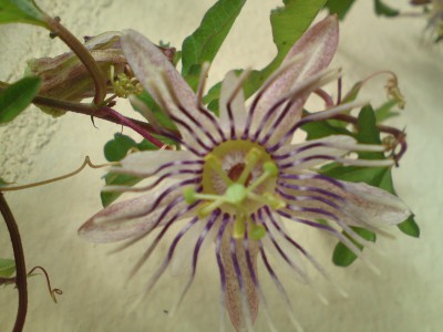 DSC01317.JPG