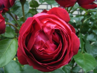 RIMG0049.JPG