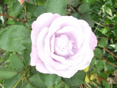 RIMG0046.JPG