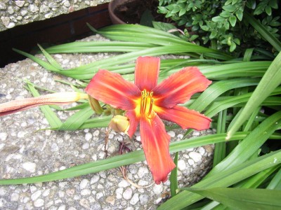 RIMG0043.JPG