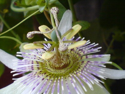 10.8.Regenwetter 009.jpg