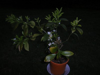 RIMG0094.JPG