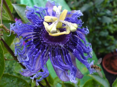 10.8.Regenwetter 007.jpg