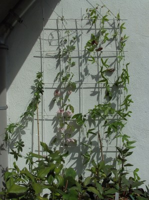 BILD0012.JPG