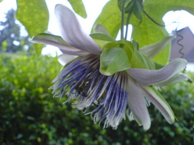 10.8.Regenwetter 006.jpg