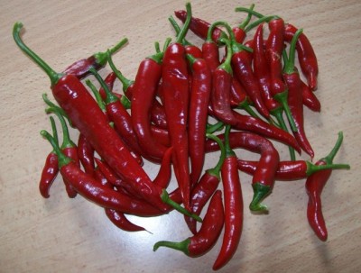 Chiliernte_10.07.11.jpg
