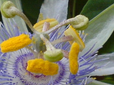 10.8.Regenwetter 002.jpg