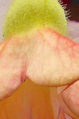 Ausschnitt Julirätsel - 10.07.2011.jpg