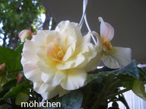 030. Kopie.jpg