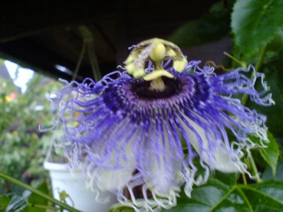 10.8.Regenwetter 021.jpg