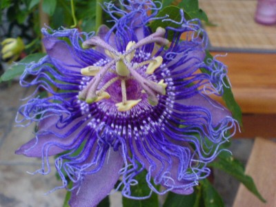 10.8.Regenwetter 020.jpg