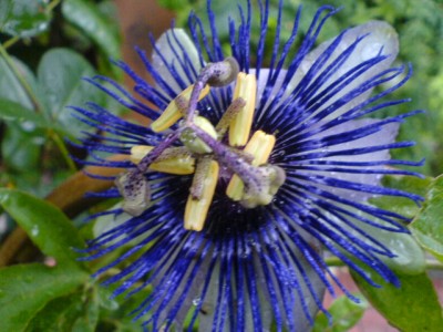 10.8.Regenwetter 023.jpg