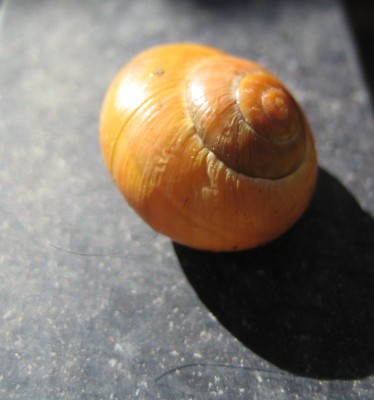 Bild green24 124.jpg