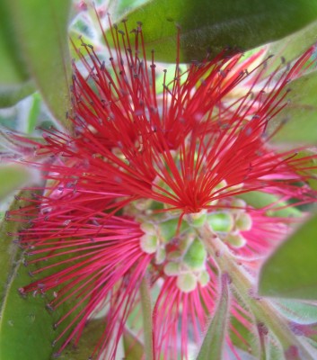 Bild green24 123.jpg