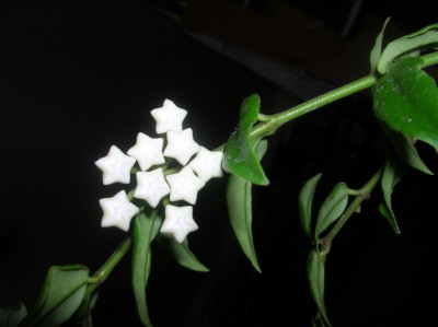 DSCN1258.JPG