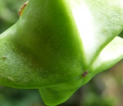 Raetsel 110710 - Kopie.jpg