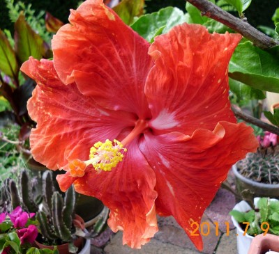 DSCI0059.JPG