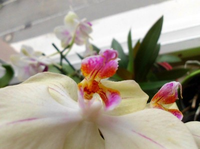 10.7.2011 (3)_klein.jpg