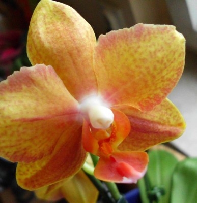 10.7.2011 (4)_klein.jpg