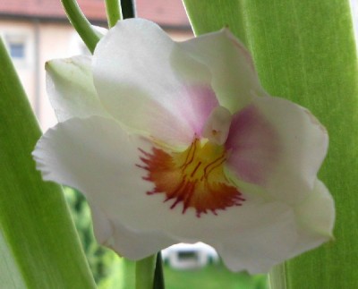 10.7.2011 (8)_klein.jpg