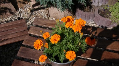 DSC01862 (Groß).JPG