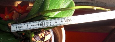 BT am 10.7 (1)_klein.jpg