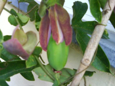 DSC00563.JPG
