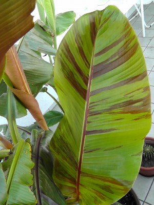 S1030001.JPG
