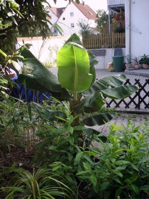 DSC06473.JPG