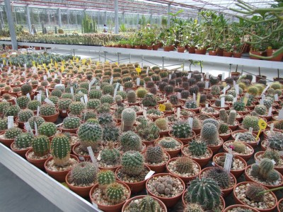 DSCF11023 (2).JPG