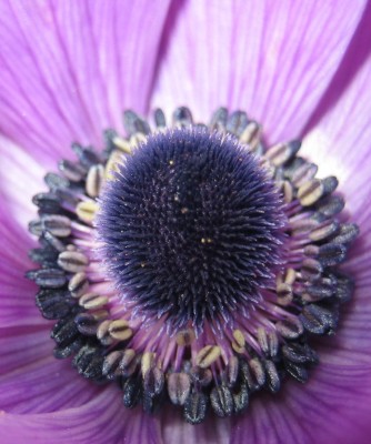 Bild green24 140.jpg