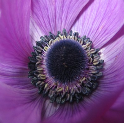 Bild green24 139.jpg