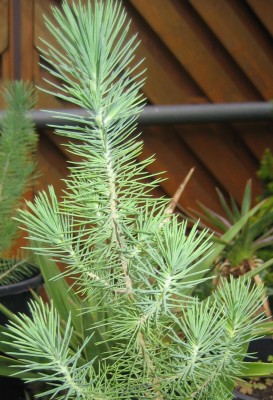 Bild green24 144.jpg