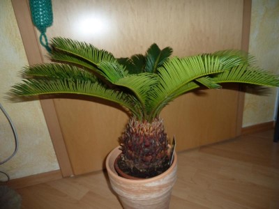 K800_P1090221.JPG