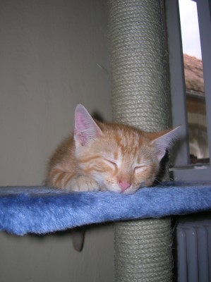 DSCN1704.JPG